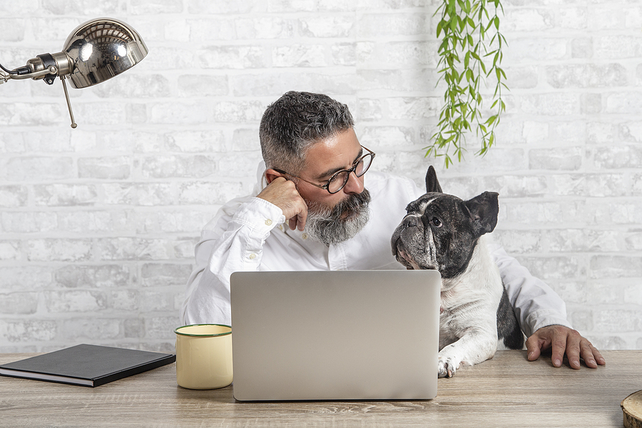 5 Dog Friendly Offices Leeds