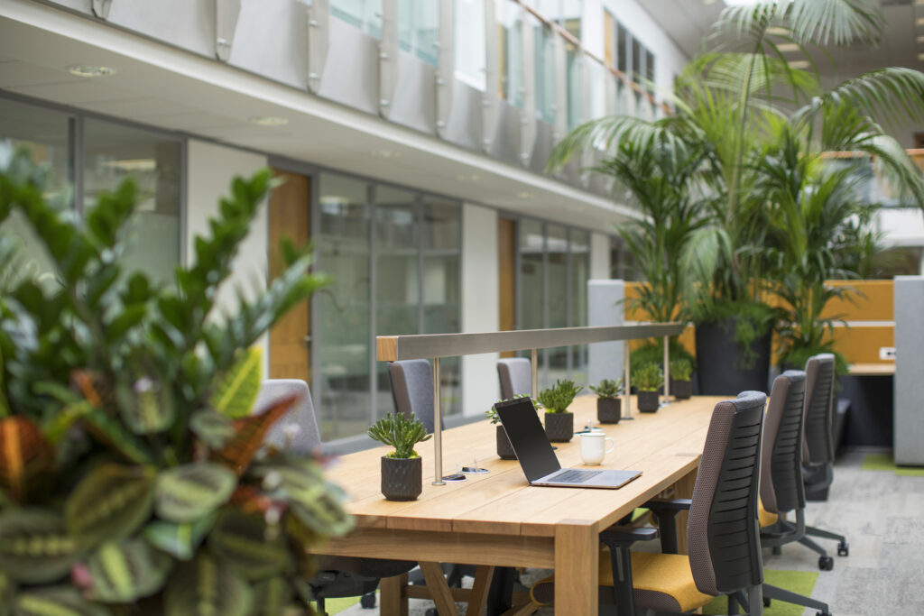 When will offices reopen?